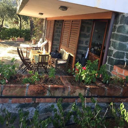 Il Nido Della Gazza Apartment Monterosso al Mare Luaran gambar