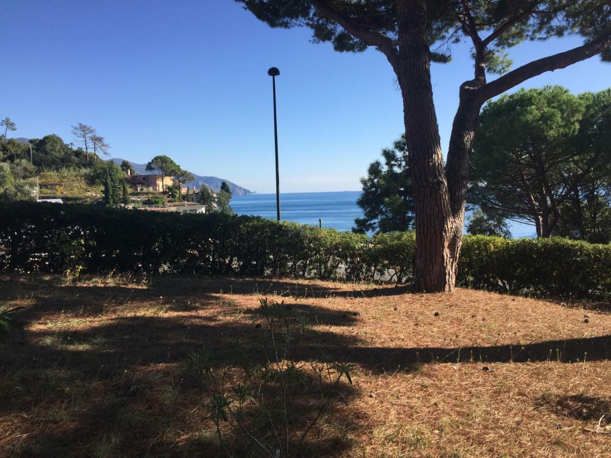 Il Nido Della Gazza Apartment Monterosso al Mare Luaran gambar